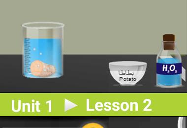 The Effect of Enzymes on The Speed of Chemical Reaction